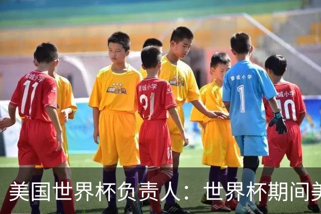 美国世界杯负责人：世界杯期间美国球场附近已发现一千多架无人机