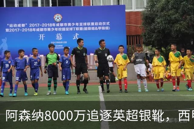 阿森纳8000万追逐英超银靴，西甲魔翼或有转会潜力